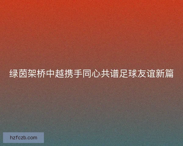绿茵架桥中越携手同心共谱足球友谊新篇